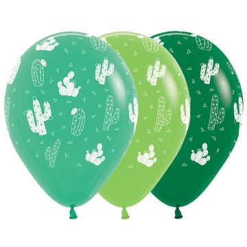 Ballon cactussen